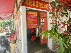 大新村