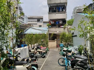 大新村