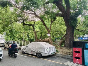 虎竹吓村