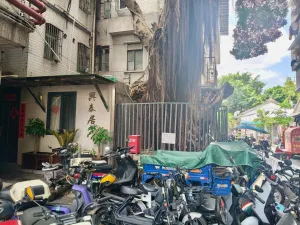 南园村