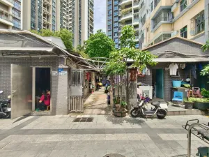 南园村