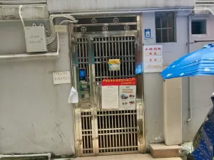 南园村