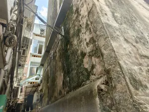 南园村