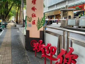 赛龙村