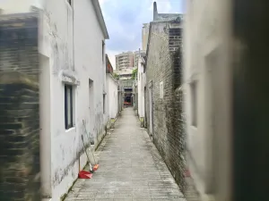 笋岗村