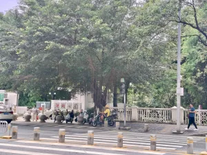 田贝村