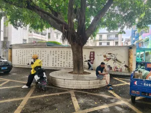 同乐村