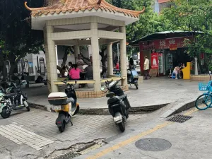 向南村
