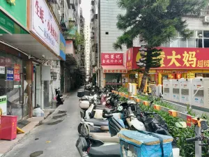 向南村