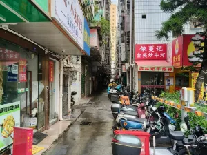 向南村