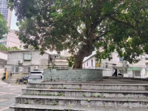 长岭村