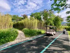 大磡村