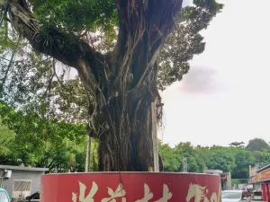 光前村