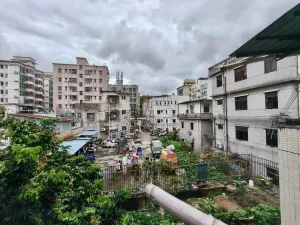 留仙洞村