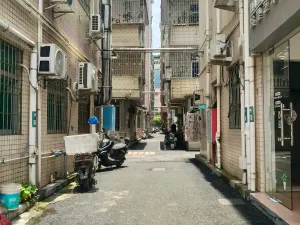 牛成村