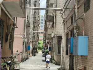 牛成村