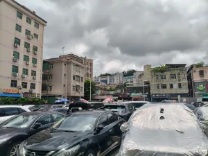 牛成村