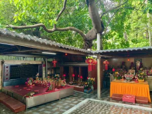 文光村