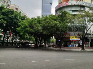 珠光村