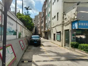坑尾村