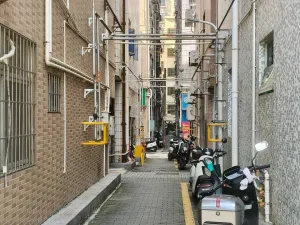 坑尾村