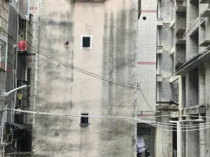 坑尾村