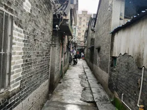 浪心村
