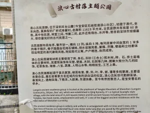浪心村