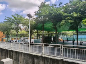 龙眼山村