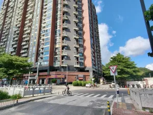 龙眼山村