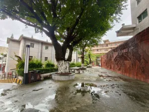 上排村