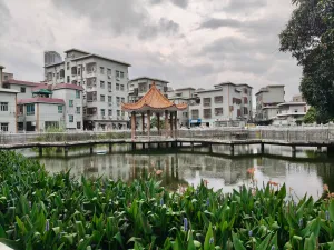 沙浦村