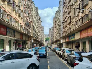石龙村