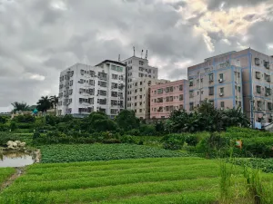 应人石村