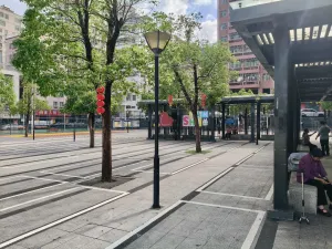 应人石村