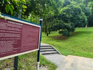 应人石村